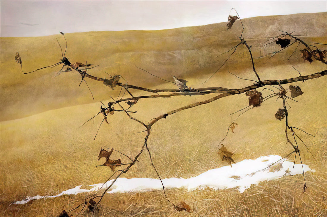Lukisan Andrew Wyeth: Estetika Sunyi dan Kedalaman Realisme Amerika - LONG LIMB by Andrew Wyeth