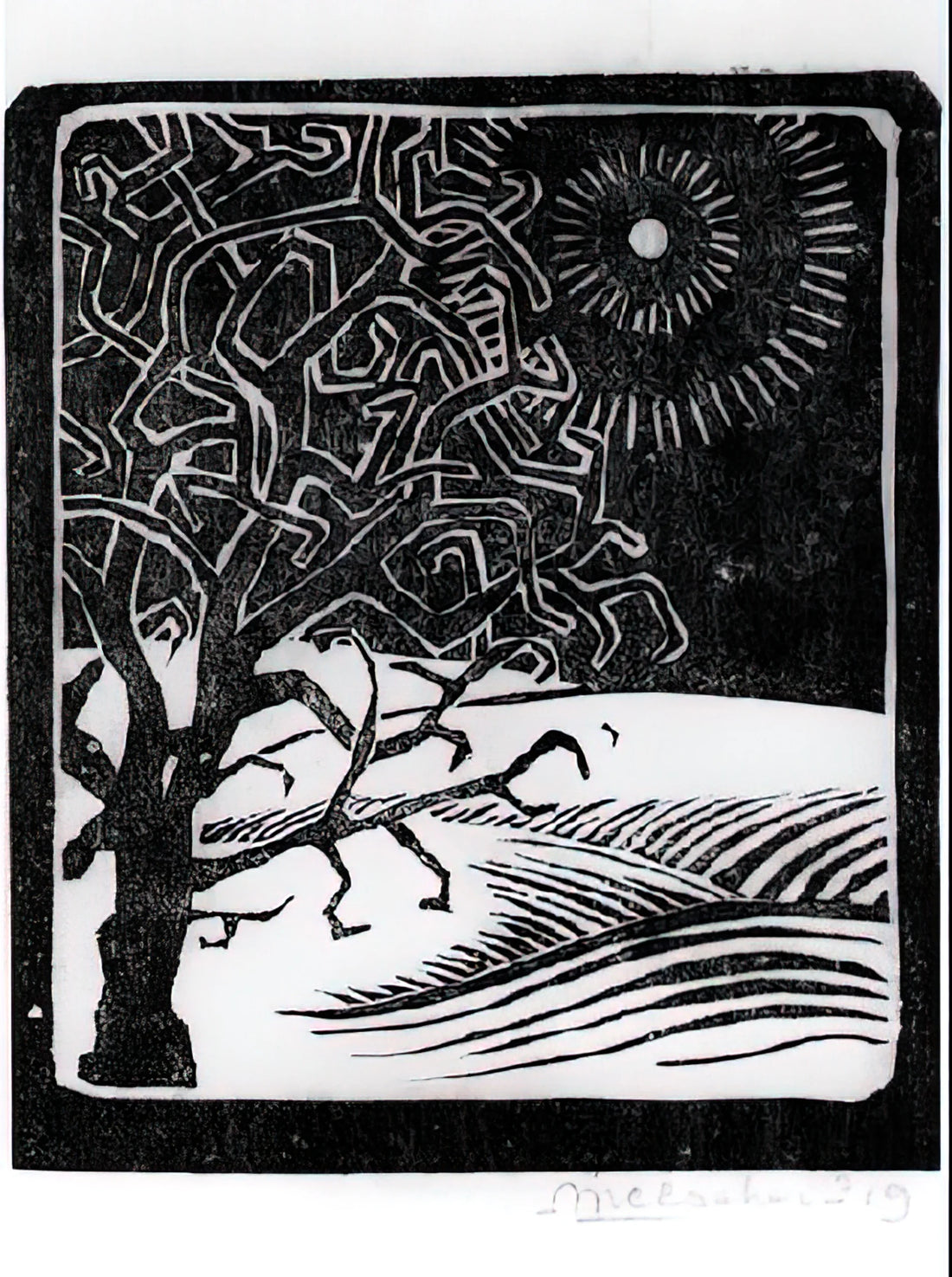M.C. Escher: The Master of Mathematical Art and Visual Paradox - THE BORGER OAK by MC Escher