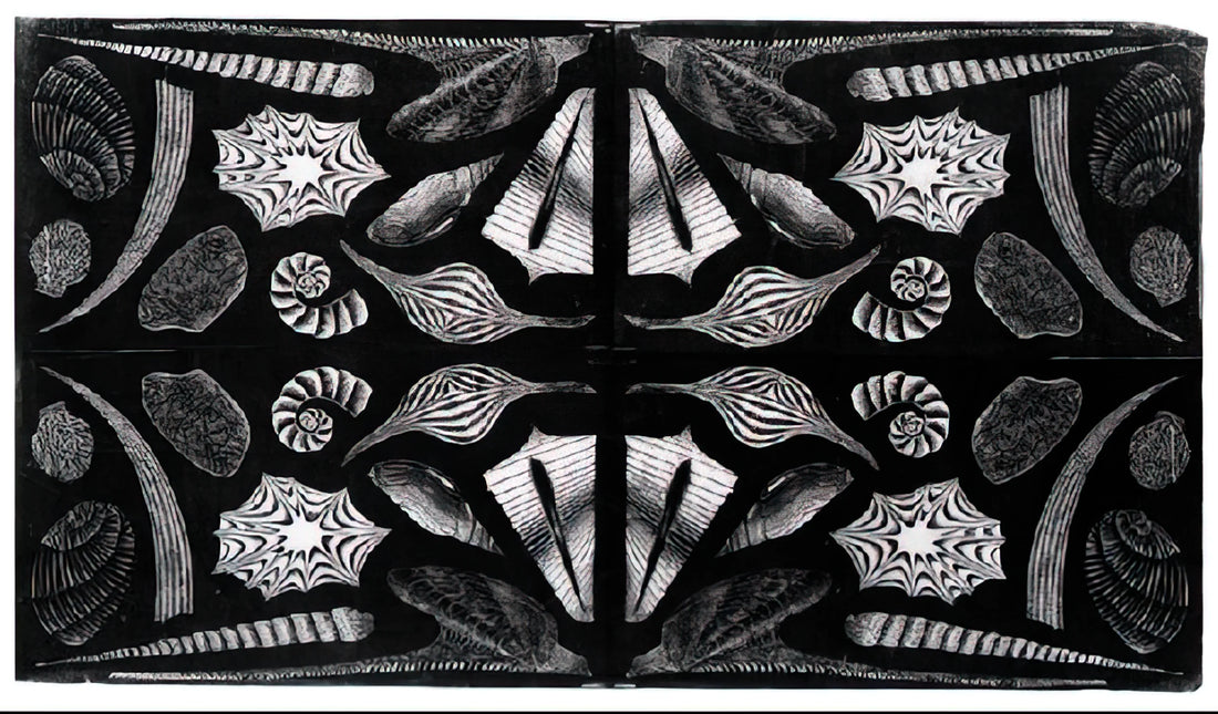 MC Escher Atrani: The Italian Village That Inspired Mathematical Masterpieces - ESCHER (5) by MC Escher