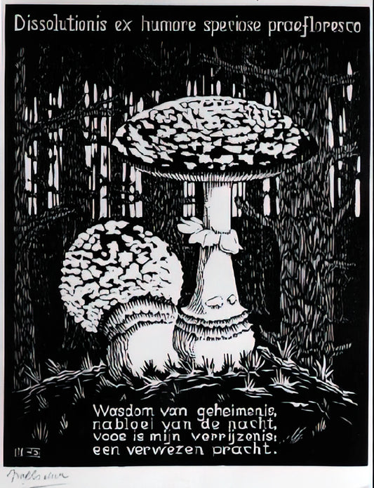 MC Escher Canvas Prints: The Definitive Guide to Owning Mathematical Art - EMBLEMATA TOADSTOOL by MC Escher