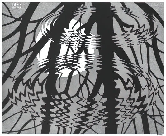 MC Escher Color Prints: A Journey Through Mathematical Art and Visual Illusion - RIPPLED SURFACE by MC Escher