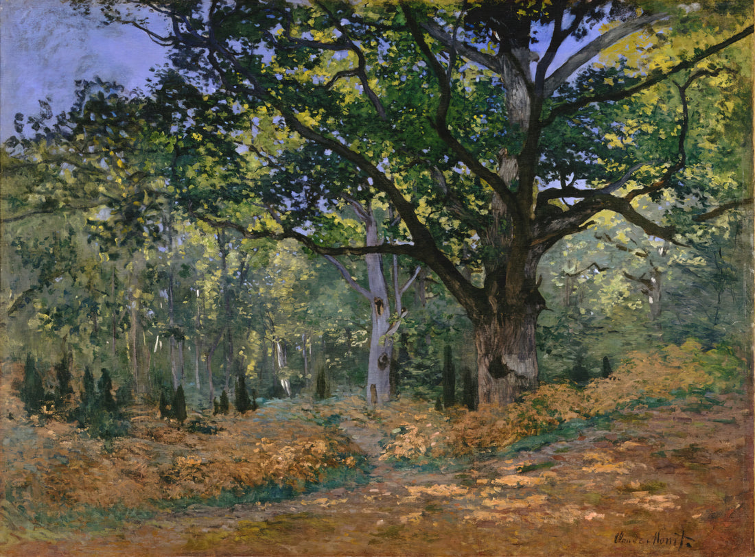 Monet Framed Prints for Sale: Curating Impressionist Masterpieces for Your Collection - The Bodmer Oak, Fontainebleau by claude monet