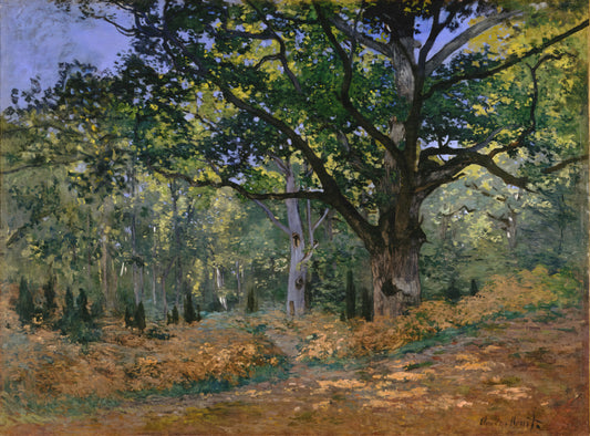 Monet Framed Prints for Sale: Curating Impressionist Masterpieces for Your Collection - The Bodmer Oak, Fontainebleau by claude monet