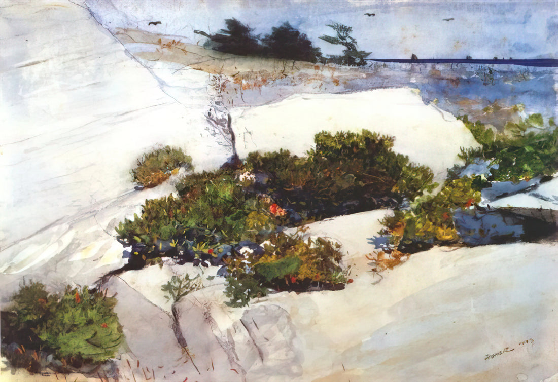 Most Famous Winslow Homer Paintings: A Curator's Guide to His Masterpieces - MAINE CLIFFS by Winslow Homer