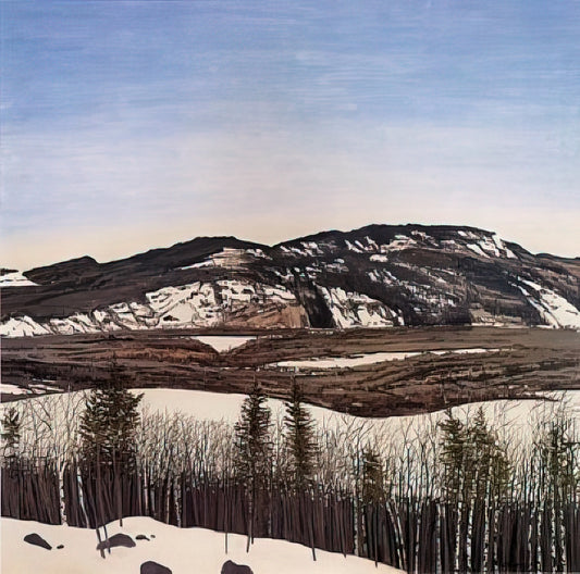 Neil Welliver Art for Sale: A Collector's Guide to the American Landscape Master - Hope to Megunticook - 1992 by Neil Welliver