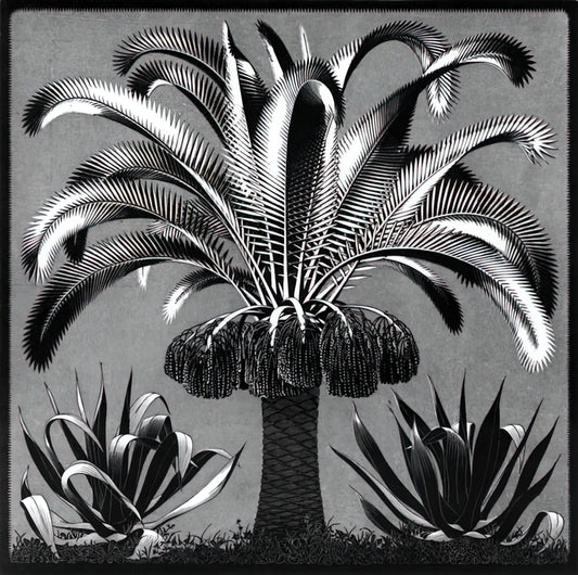 Original Escher Prints for Sale: A Collector's Guide to Acquiring Museum-Quality Art - PALM by MC Escher