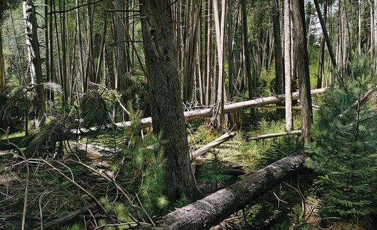 Richard Estes Posters: Capturing Photorealist Urbanity in Art Prints - NEAR HUNTERS BEACH ACADIA NATIONAL PARK 2008 by Richard Estes