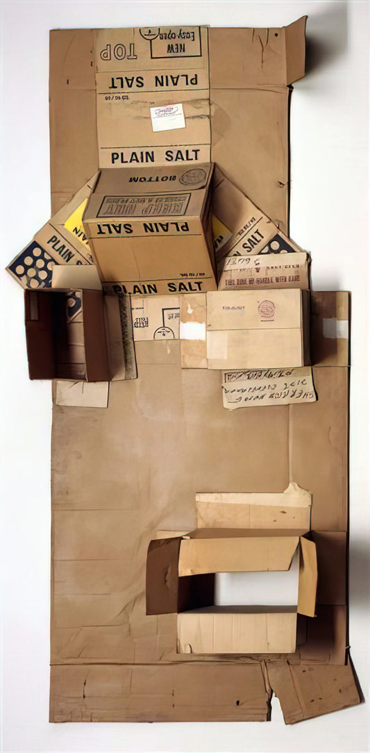 Robert Rauschenberg for Sale: A Guide to Acquiring Museum-Quality Prints - PLAIN SALT CARDBOARD 1971 by Robert Rauschenberg
