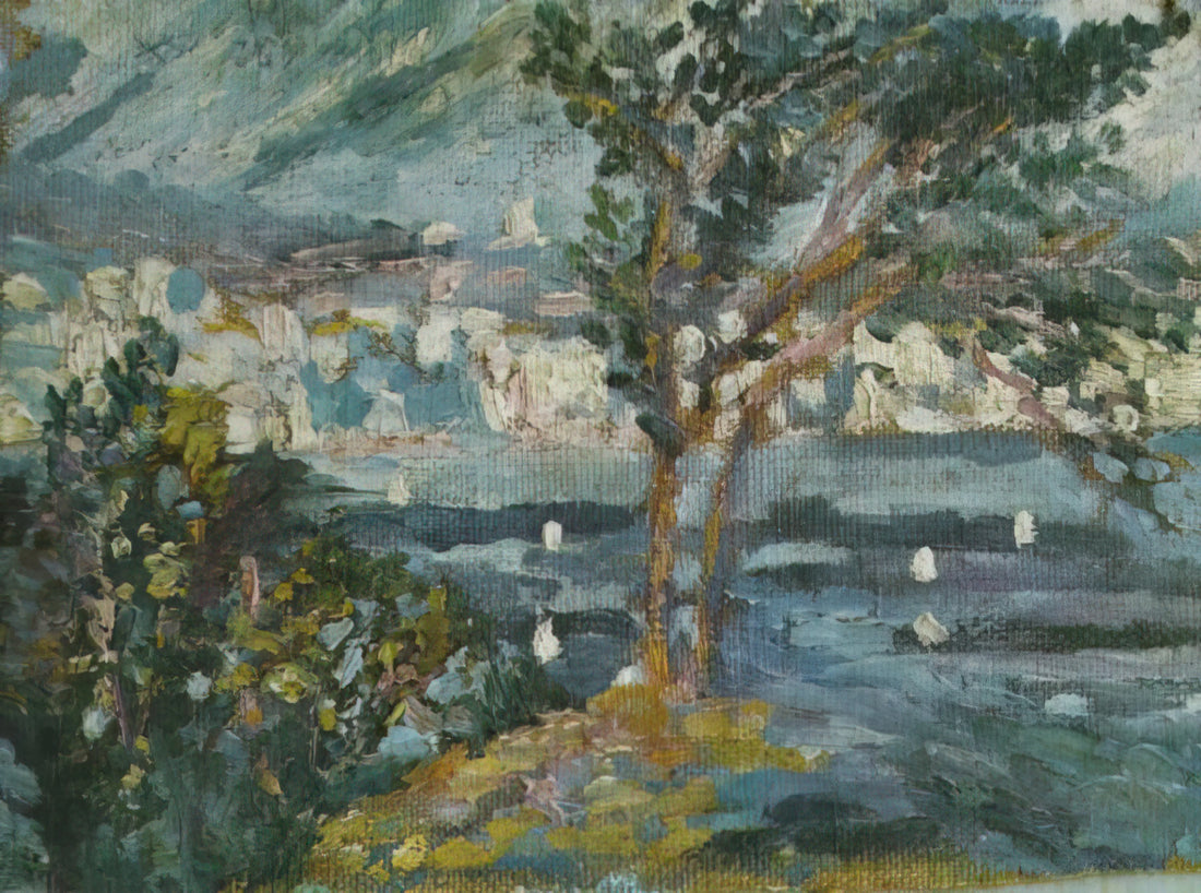 Salvador Dalí Framed: A Curator's Guide to Collecting Museum-Quality Prints - LANDSCAPE CADAQUES 1920 by Salvador Dali