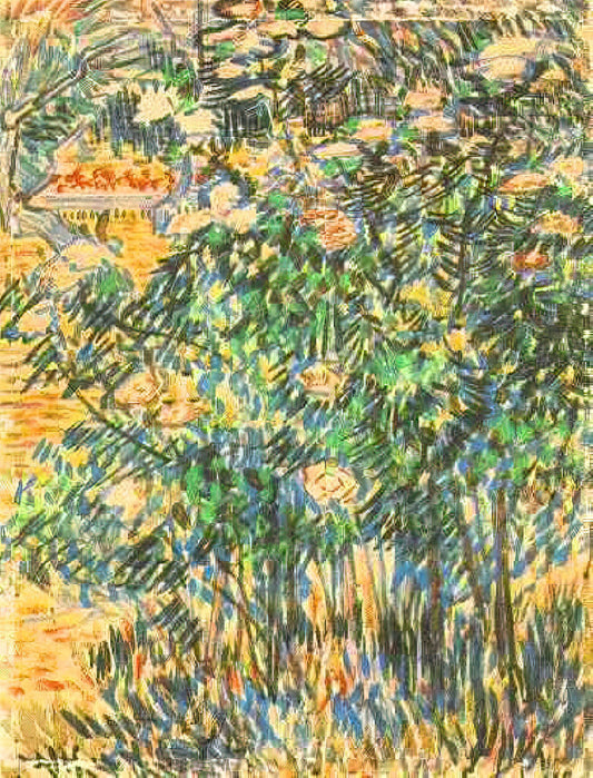 Starry Night Poster Framed: A Curator's Guide to Displaying Van Gogh's Masterpiece - Flowering Shrubs by Vincent van Gogh