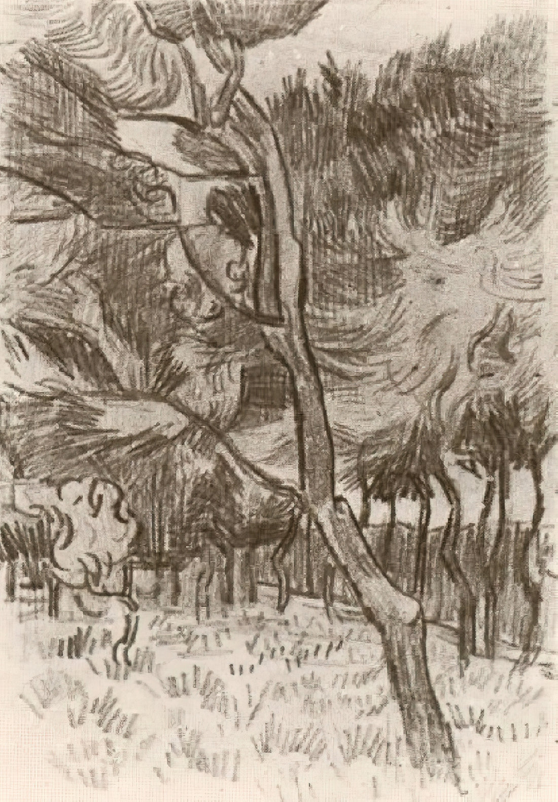Starry Night Reproduction: A Guide to Van Gogh's Masterpiece in Print - Pine Trees in the Garden of the Asylum by Vincent van Gogh