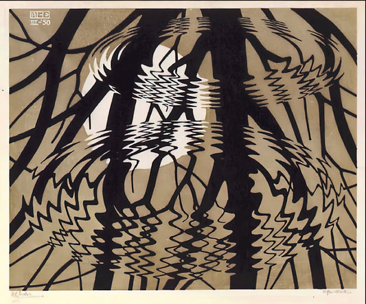 Taschen MC Escher: The Definitive Guide to the Master of Mathematical Art - RIPPLED SURFACE COLOUR by MC Escher