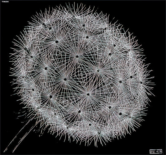 The Escher Museum: A Journey into the Mind of a Mathematical Visionary - BLOWBALL II by MC Escher