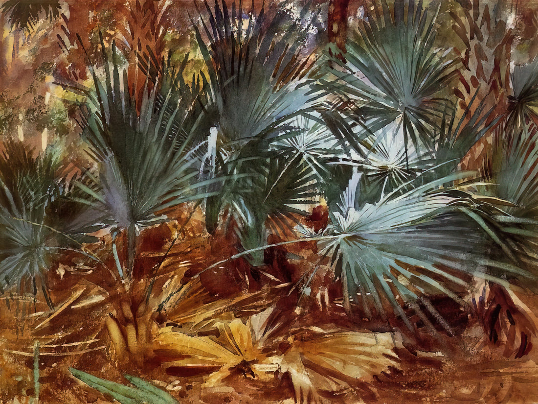 The Incisive Elegance: Unveiling the Mastery of John Singer Sargent Pencil Drawings - Palmettos by John Singer Sargent