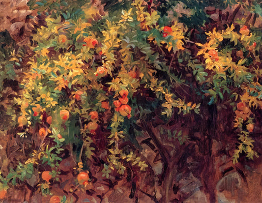 The Watercolors of John Singer Sargent: A Master's Fluid Brilliance - Pomegranates by John Singer Sargent