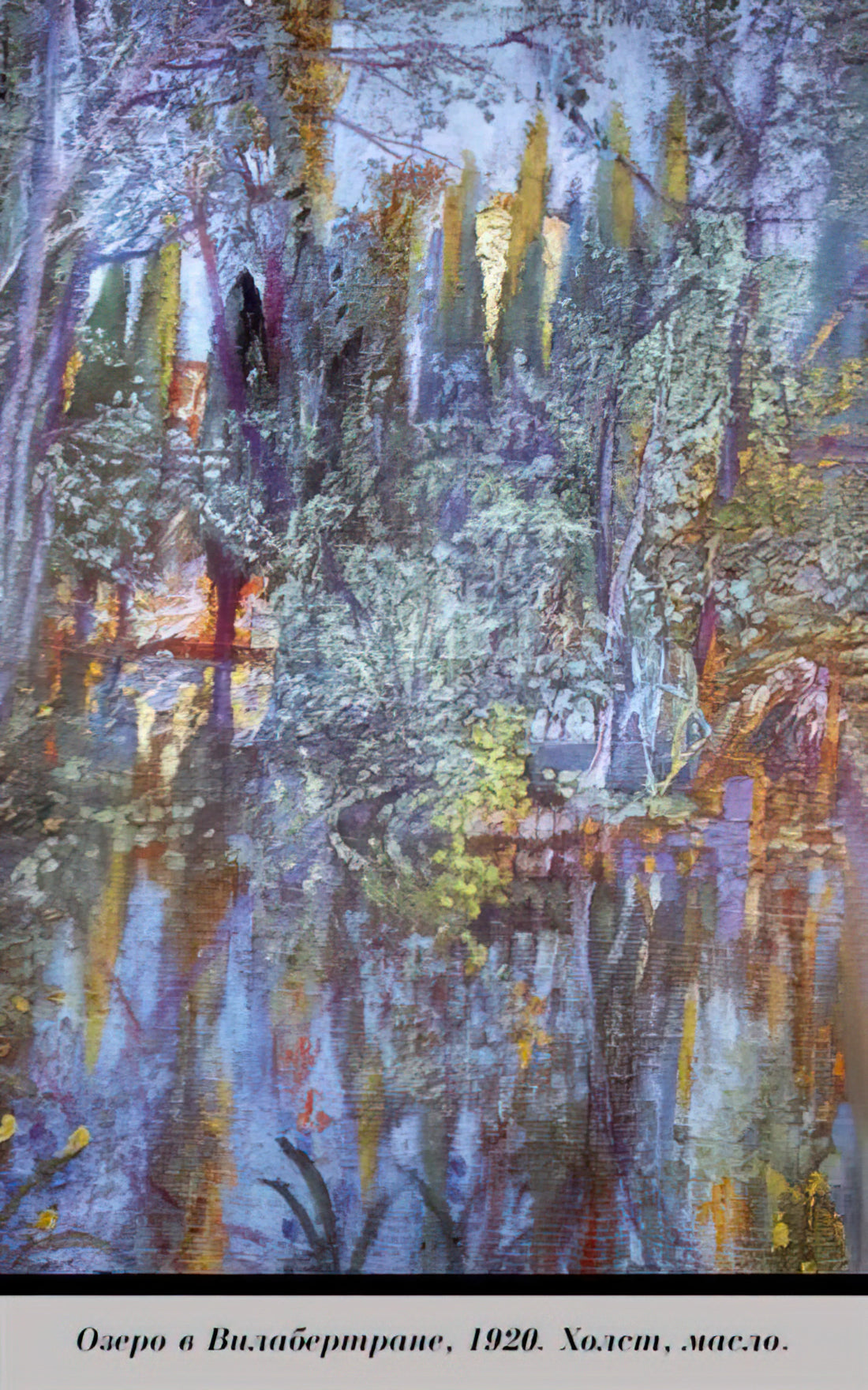 Unveiling the Artistic Legacy: A Comprehensive Salvador Dali Lithograph List and Guide - THE LAKE AT VILABERTRAN by Salvador Dali