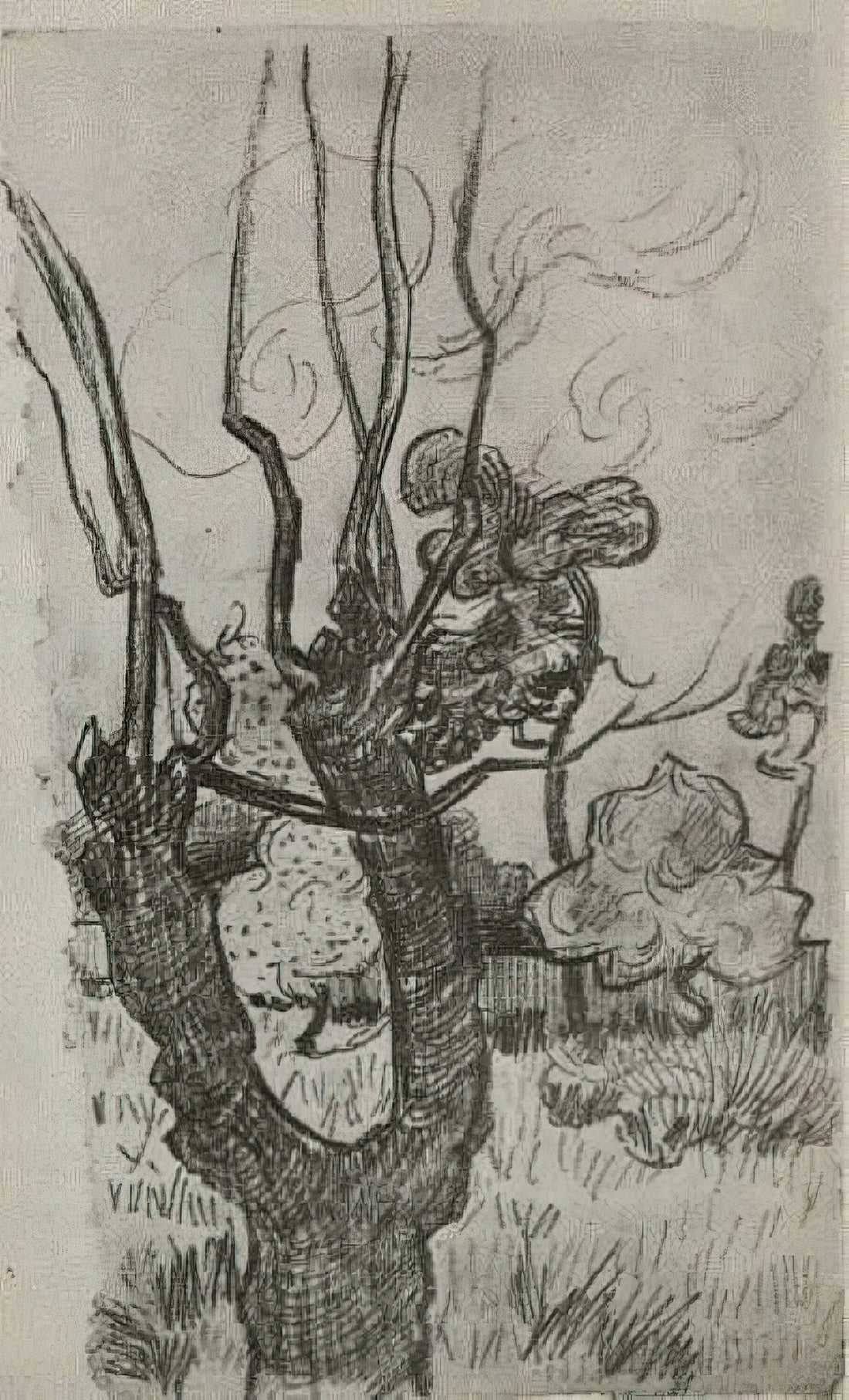 Utagawa Hiroshige & Vincent van Gogh: The Japanese Woodblock Print That Transformed Western Art - A Bare Treetop in the Garden of the Asylum by Vincent van Gogh