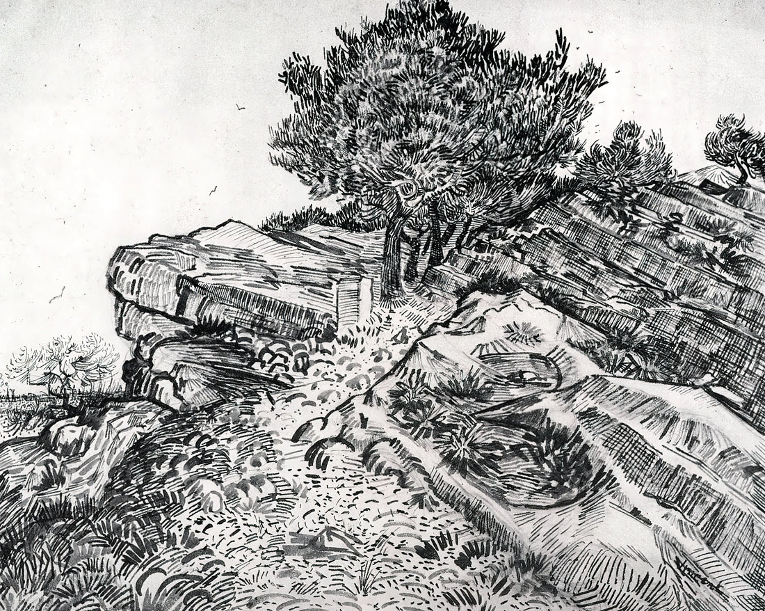 Van Gogh Canvas Reproductions: A Curator's Guide to Museum-Quality Art Prints - Montmajour by Vincent van Gogh