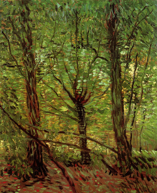 Van Gogh Fine Art Prints: A Collector's Guide to Authentic Reproductions - Trees and Undergrowth by Vincent van Gogh