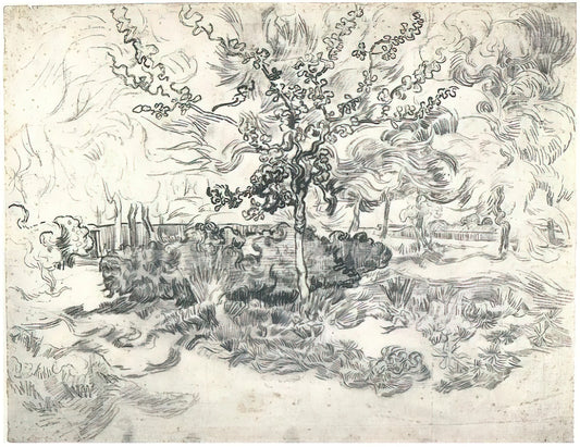 Van Gogh Museum Prints: Curator's Guide to Authentic Art Reproduction - Garden of the Asylum by Vincent van Gogh