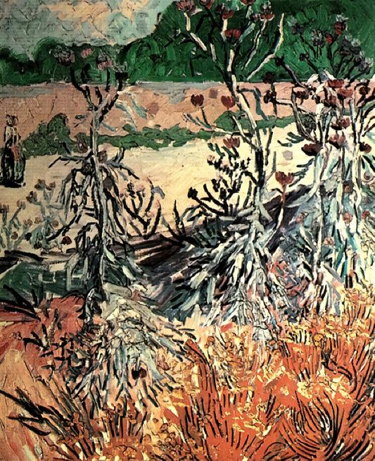 Van Gogh Prints and Posters: A Curator's Guide to Collecting Museum-Quality Reproductions - Thistles by Vincent van Gogh