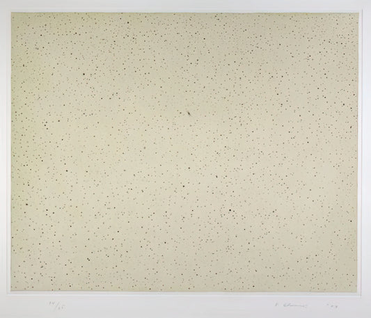 Vija Celmins Early Work: A Deep Dive into the Artist's Foundational Period - NIGHT SKY 2 REVERSED 2002 by Vija Celmins