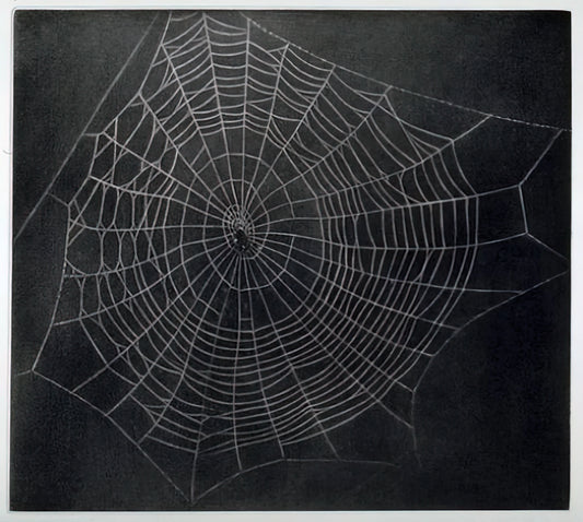Vija Celmins Ocean Poster: A Deep Dive into Her Photorealistic Seascapes - UNTITLED SPIDER WEB 2000 by Vija Celmins