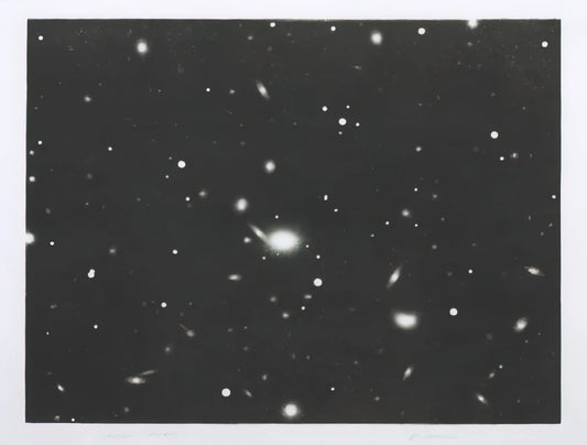 Vija Celmins Painting: The Sublime Precision of the Natural World - GALAXY 1975 by Vija Celmins