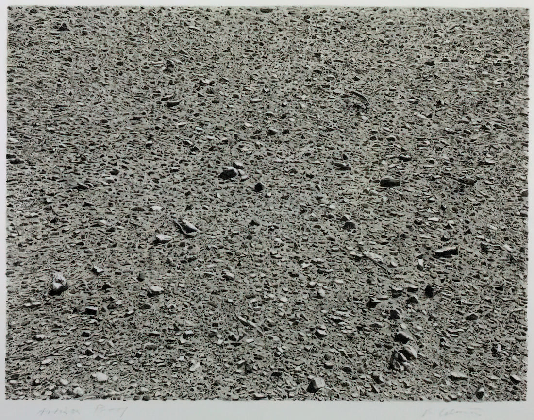 Vija Celmins Posters: The Allure of Photorealistic Precision in Art Prints - DESERT 1975 by Vija Celmins