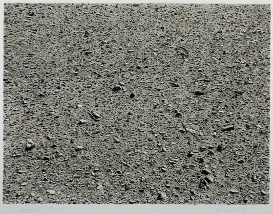 Vija Celmins: The Meditative Precision of Nature's Endless Surfaces - DESERT 1975 by Vija Celmins