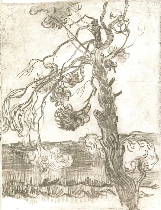 Vincent van Gogh Lithograph: A Rare Glimpse into the Artist's Printmaking Legacy - A Weather-Beaten Pine Tree by Vincent van Gogh