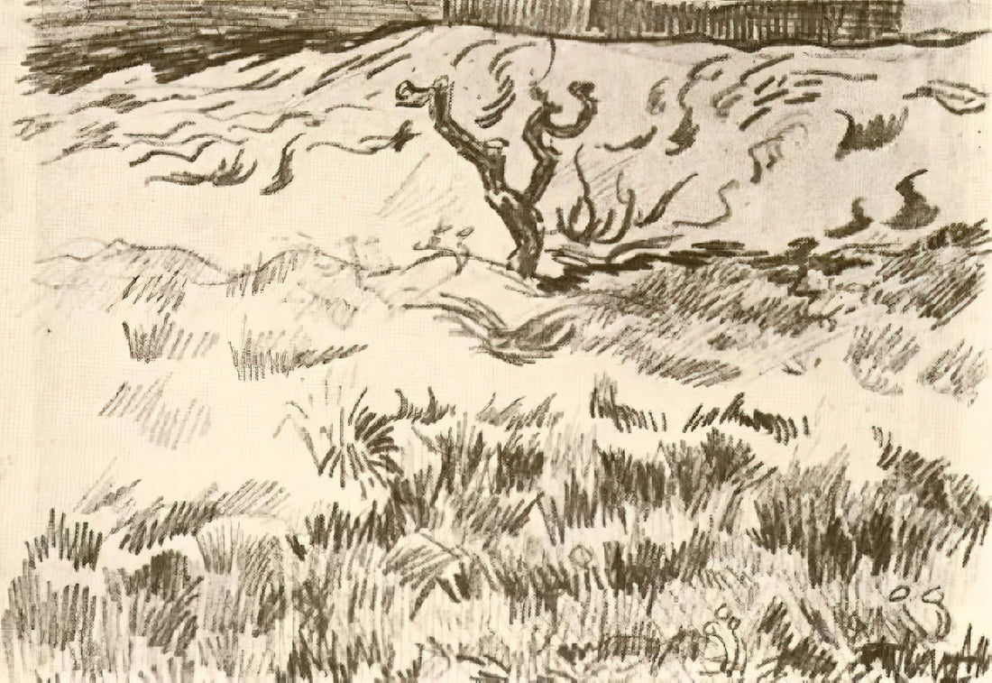 Vincent van Gogh Prints for Sale: A Curator's Guide to Collecting Museum-Quality Reproductions - Field with Bare Tree by Vincent van Gogh