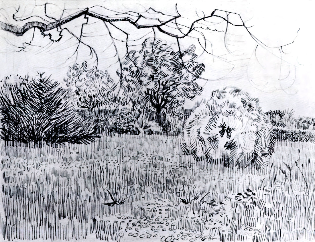 Vincent van Gogh's Most Famous Painting: The Enduring Legacy of Starry Night - Park at Arles by Vincent van Gogh