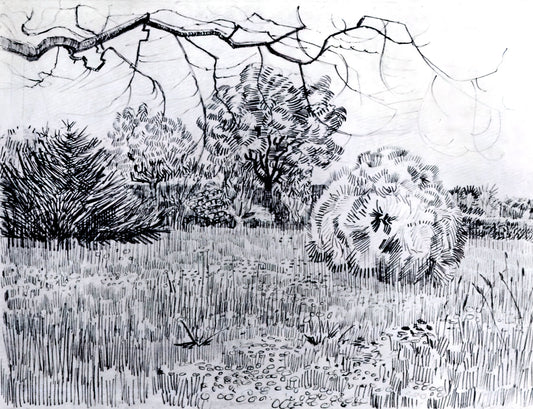 Vincent van Gogh's Most Famous Painting: The Enduring Legacy of Starry Night - Park at Arles by Vincent van Gogh