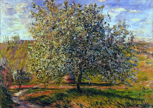 Water Lilies 1906: Monet's Revolutionary Vision of Light and Reflection - Tree in Flower near Vetheuil by claude monet