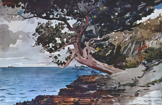 Winslow Homer Apple Picking: An American Master's Vision of Rural Life - NORTH ROAD BERMUDA by Winslow Homer
