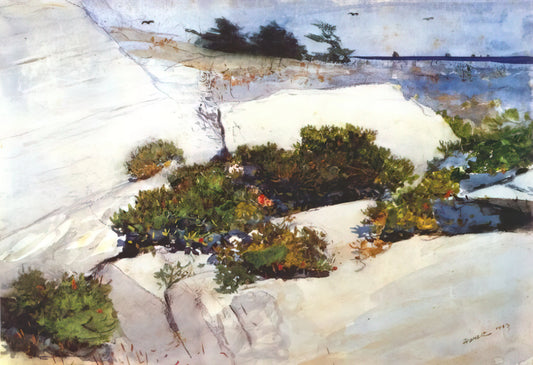 Winslow Homer Famous Works: A Curator's Guide to His Defining Masterpieces - MAINE CLIFFS by Winslow Homer
