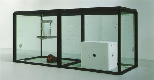 What Is Damien Hirst’s *A Thousand Years* Really About? A Curator’s Analysis