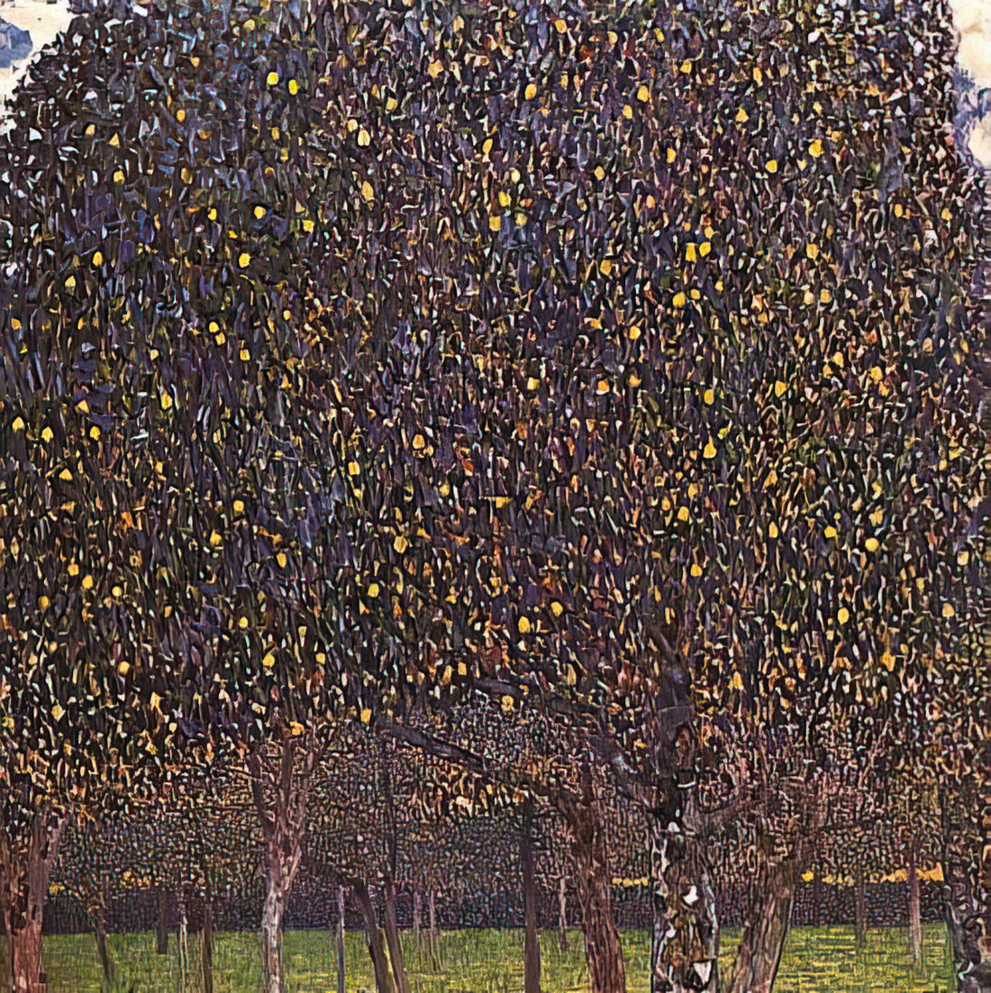 Was macht das Atelier de Lumière von Gustav Klimt so besonders?