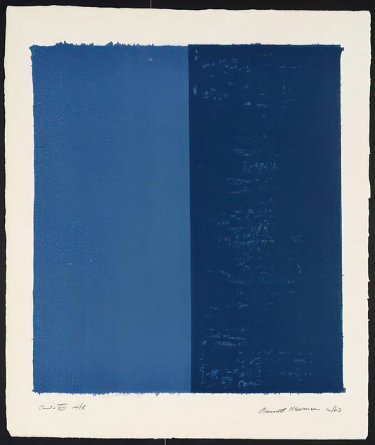 Was macht Barnett Newmans Kunstwerke so besonders?