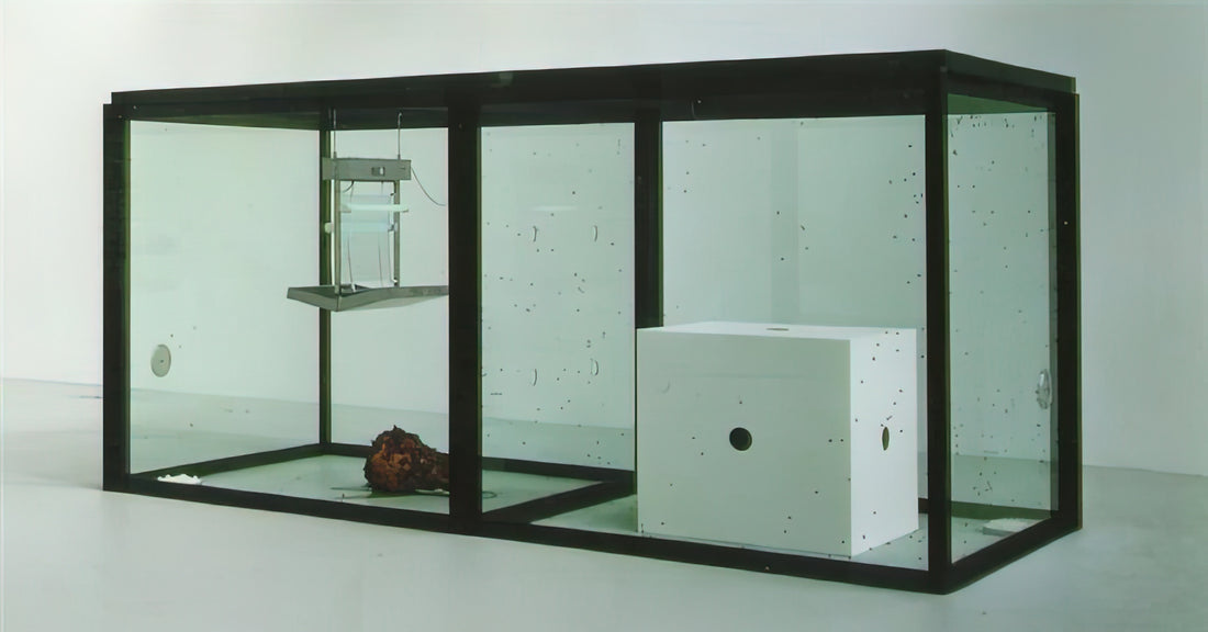 Damien Hirst auf eBay: Was Sie vor dem Kauf wissen müssen