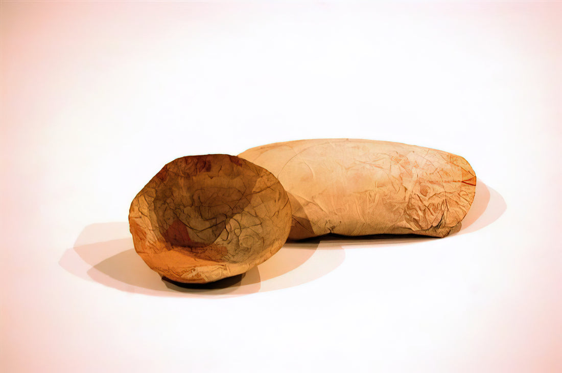 Wer war Eva Hesse? Ein Blick auf ihr Leben und Werk