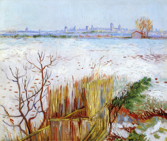 Wer war Paul van Gogh und wie beeinflusste er Vincent van Gogh?
