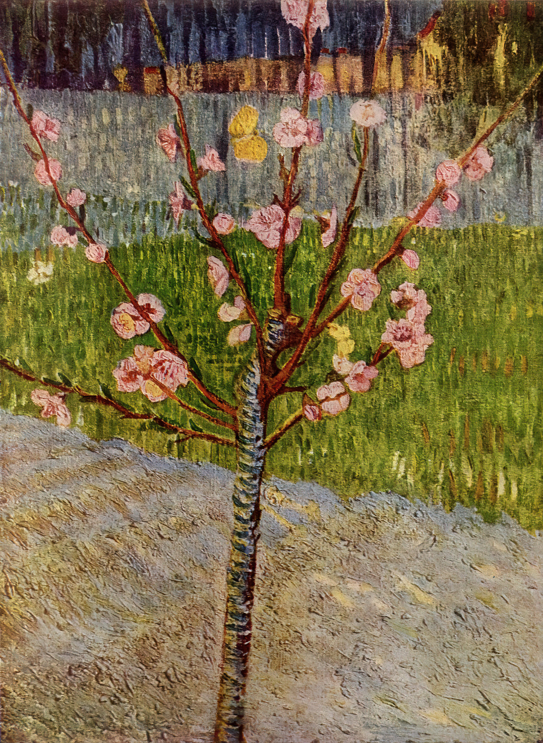 Wer ist Armand Roulin? Das Porträt von Vincent van Gogh