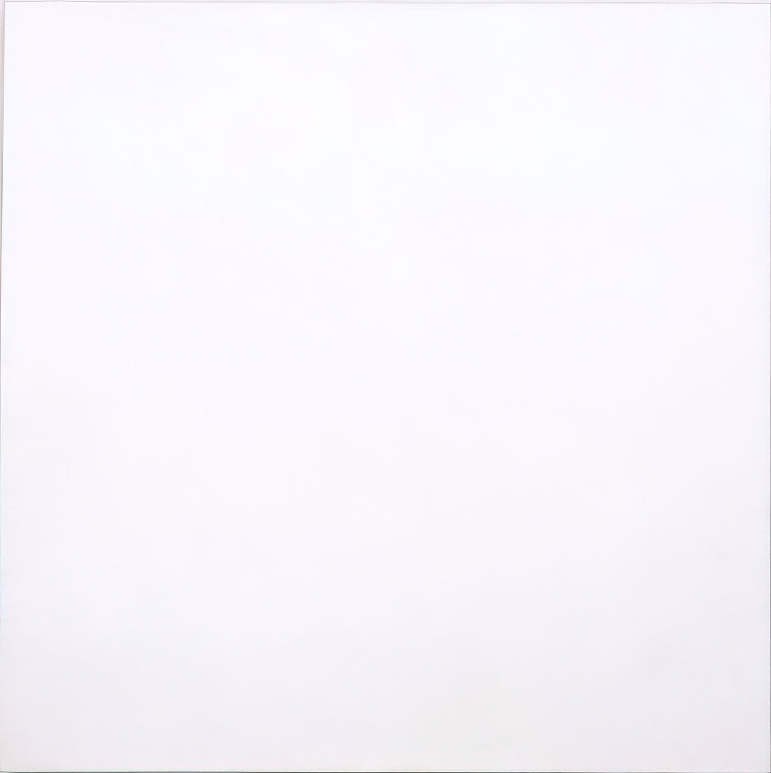 What Are Robert Rauschenberg’s White Paintings? A Minimalist Masterpiece Explained