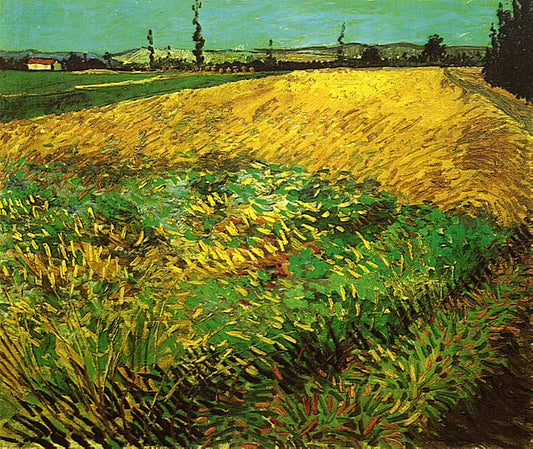 Was macht Van Goghs Sternenhimmel so besonders?