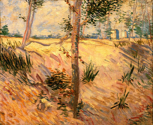 Wie hat Vincent van Gogh den Himmel in seinen Gemälden dargestellt?