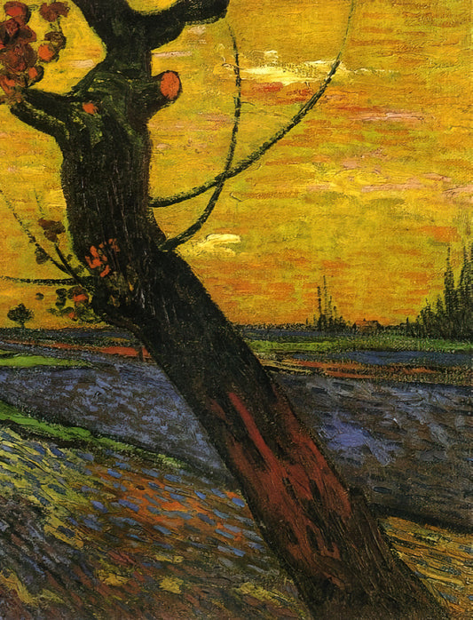 Was macht van Goghs Landschaftsbilder so besonders?