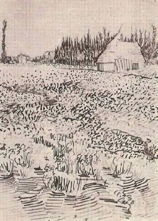 Warum sind Van Goghs Sonnenblumen im Van Gogh Museum so bedeutend?
