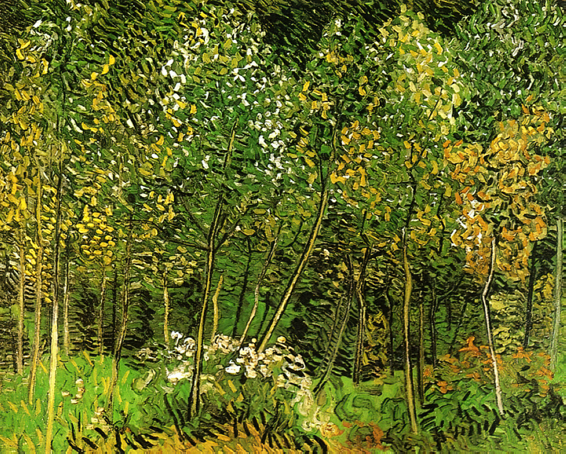 Was macht Van Goghs Saintes-Maries-de-la-Mer so besonders?